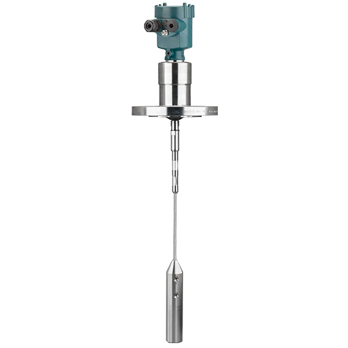 導波雷達液位計FLEX80Y系列-FLEX 82Y.jpg